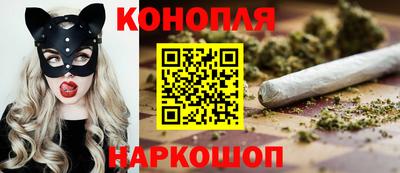мяу мяу мука Будённовск