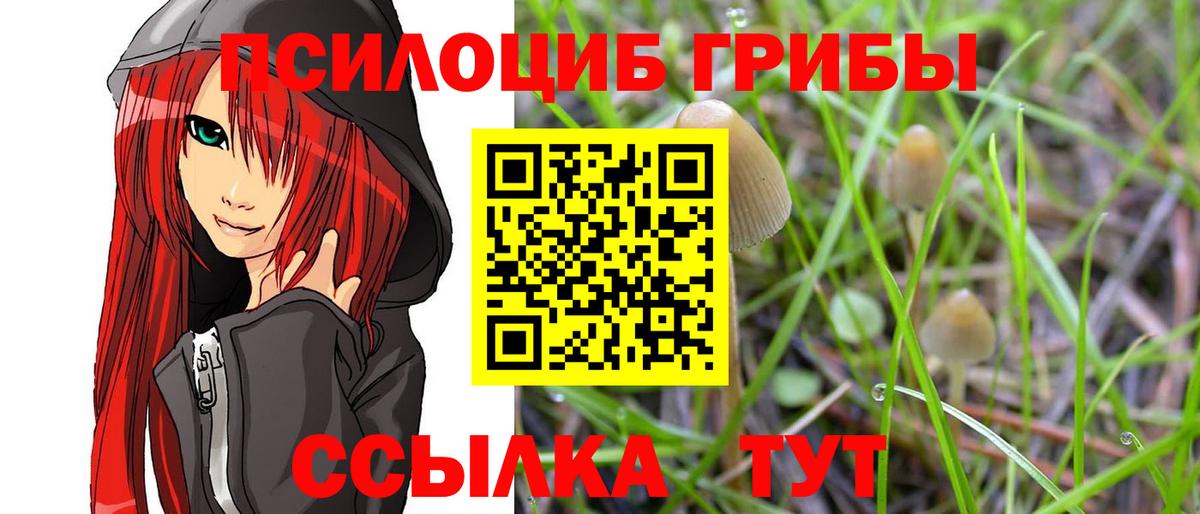 Галлюциногенные грибы мицелий  Галлюциногенные грибы Psilocybine cubensis  Протвино  дарнет шоп  Вход с VPN 